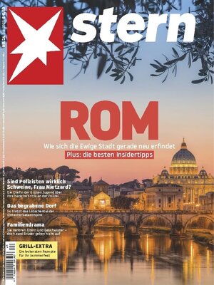 cover image of stern